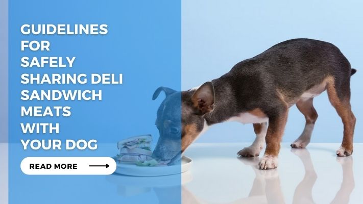Guidelines for Safely Sharing Deli Sandwich Meats with Your Dog
