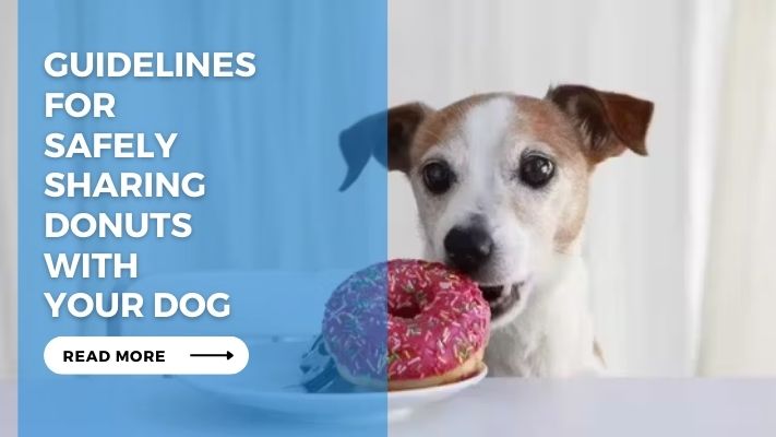 Guidelines for Safely Sharing Donuts with Your Dog