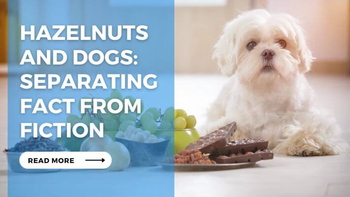 Hazelnuts and Dogs Separating Fact from Fiction