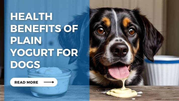 Health Benefits of Plain Yogurt for Dogs