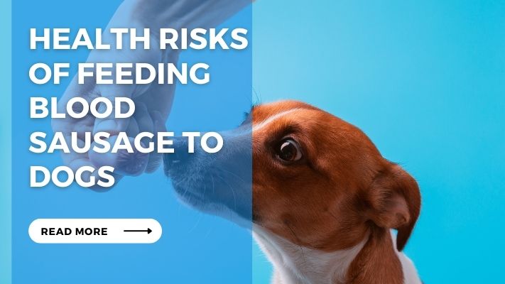 Health Risks  of Feeding Blood  Sausage to Dogs