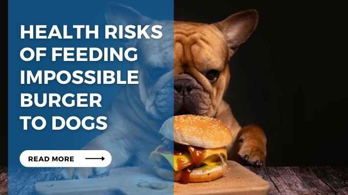 Health Risks of Feeding Impossible Burger to Dogs