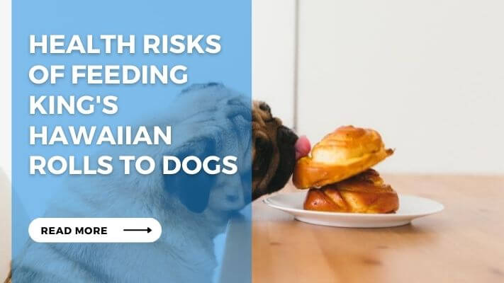 Health Risks of Feeding Kings Hawaiian Rolls to Dogs