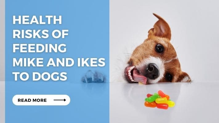 Health Risks of Feeding Mike and Ikes to Dogs