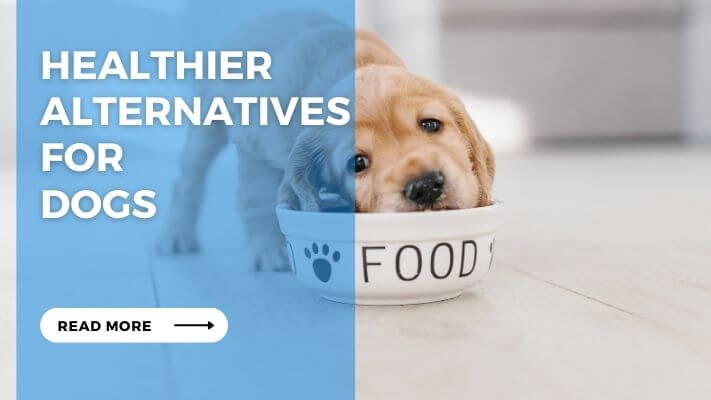 Healthier Alternatives for Dogs