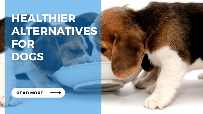 Healthier Alternatives for Dogs