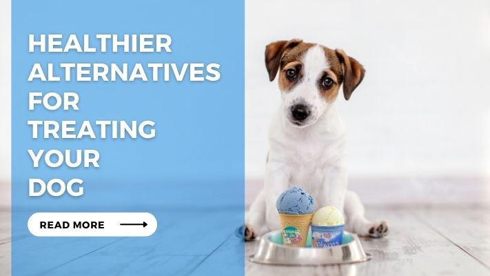 Healthier Alternatives for Treating Your Dog