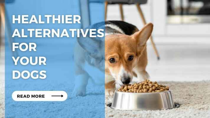 Healthier Alternatives for Your Dogs