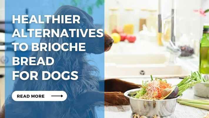 Healthier Alternatives to Brioche Bread for Dogs