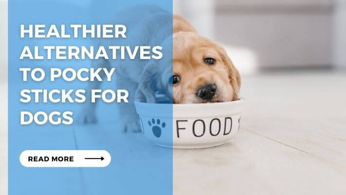 Healthier Alternatives to Pocky Sticks for Dogs