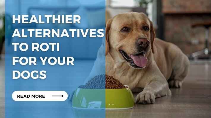 Healthier Alternatives to Roti for Your Dogs