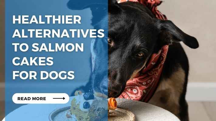 Healthier Alternatives to Salmon Cakes for Dogs