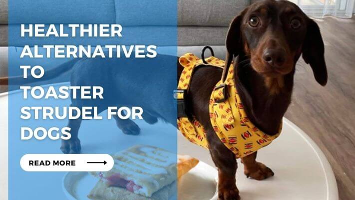 Healthier Alternatives to Toaster Strudel for Dogs