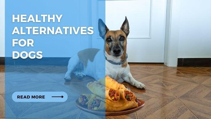 Healthy Alternatives for Dogs