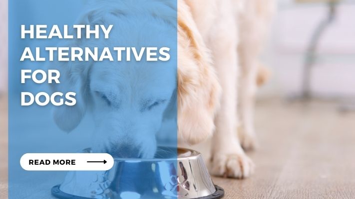 Healthy Alternatives for Dogs