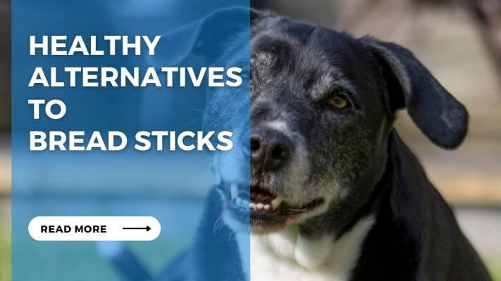 Healthy Alternatives to Bread Sticks