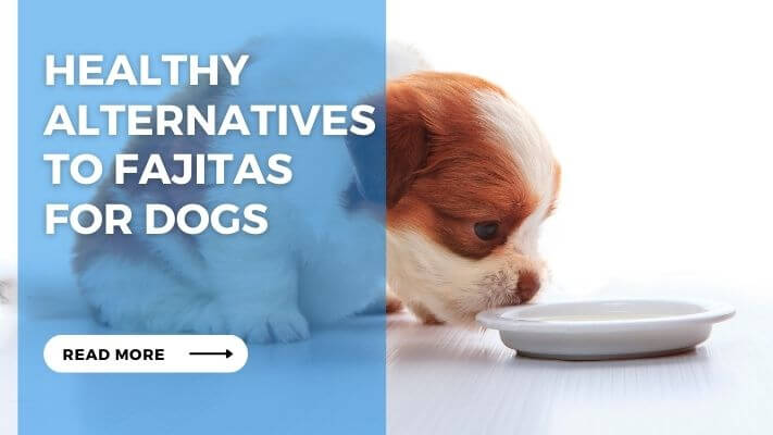 Healthy Alternatives to Fajitas for Dogs