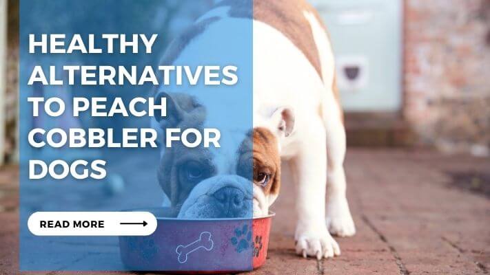 Healthy Alternatives to Peach Cobbler for Dogs