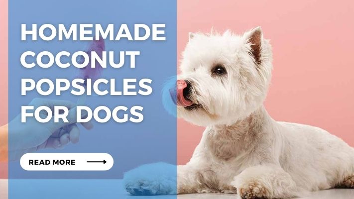 Homemade Coconut Popsicles for Dogs