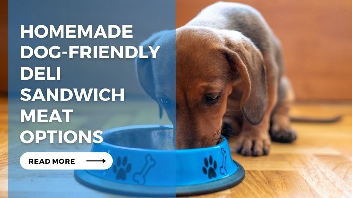 Homemade Dog-Friendly Deli Sandwich Meat Options