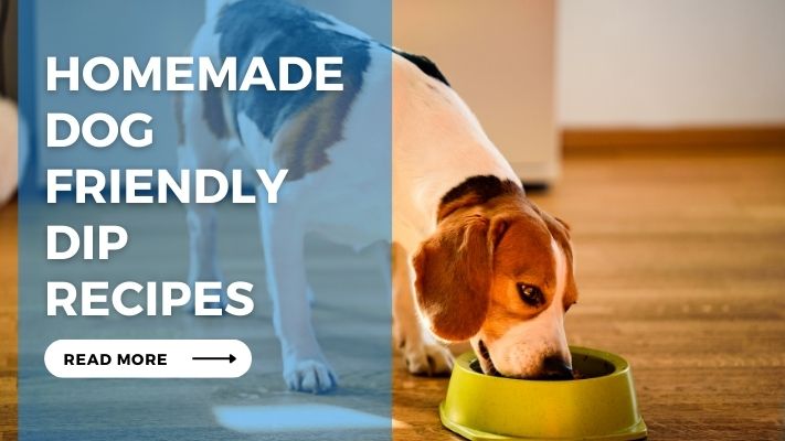 Homemade Dog Friendly Dip Recipes
