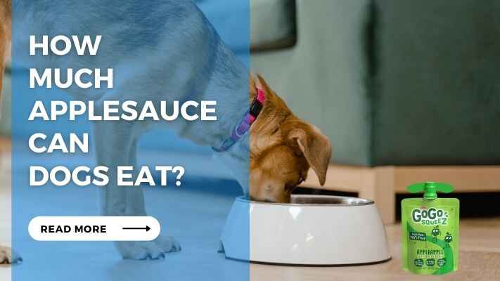 How Much Applesauce Can Dogs Eat