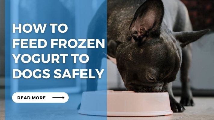 How to Feed Frozen Yogurt to Dogs Safely