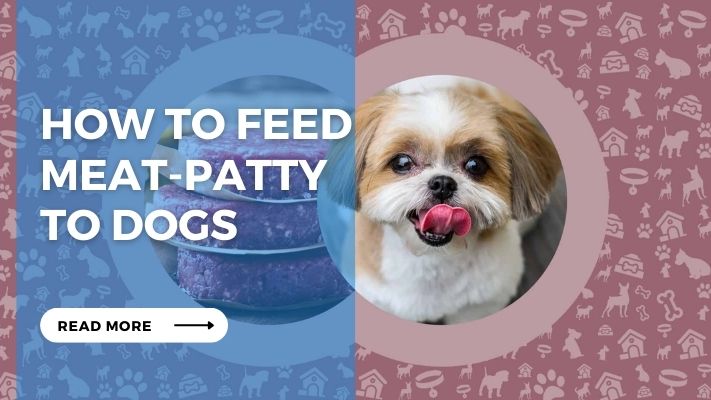 How to Feed  Meat-Patty  to Dogs