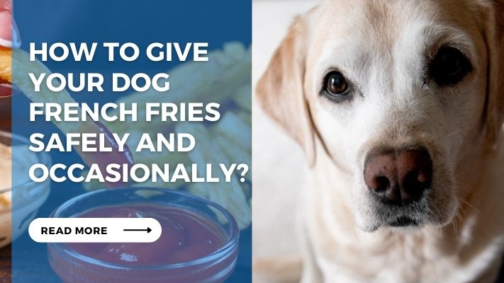 How to Give Your Dog French Fries Safely and Occasionally