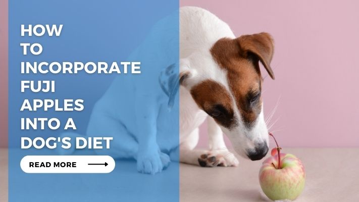 How to Incorporate Fuji Apples into a Dog's Diet