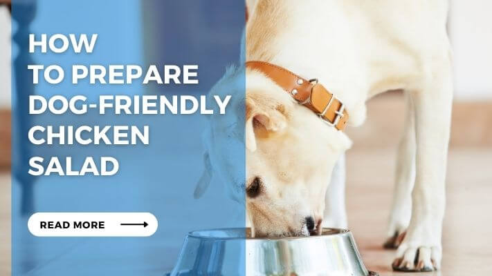 How to Prepare Dog-Friendly Chicken Salad