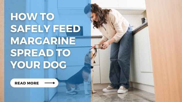 How to Safely Feed Margarine Spread to Your Dog
