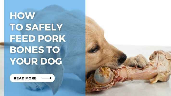 How to Safely Feed Pork Bones to Your Dog