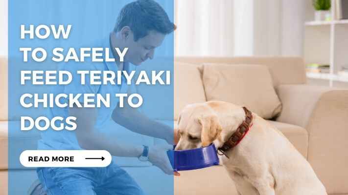 How to Safely Feed Teriyaki Chicken to Dogs