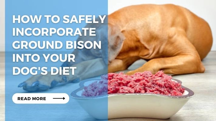 How to Safely Incorporate Ground Bison into Your  Dog's Diet