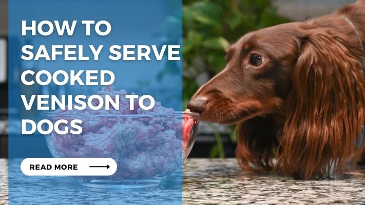 How to  Safely Serve Cooked  Venison to Dogs