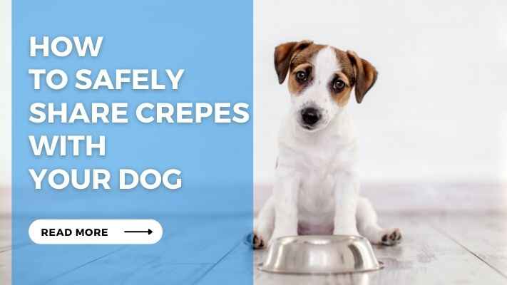 How to Safely Share Crepes with Your Dog