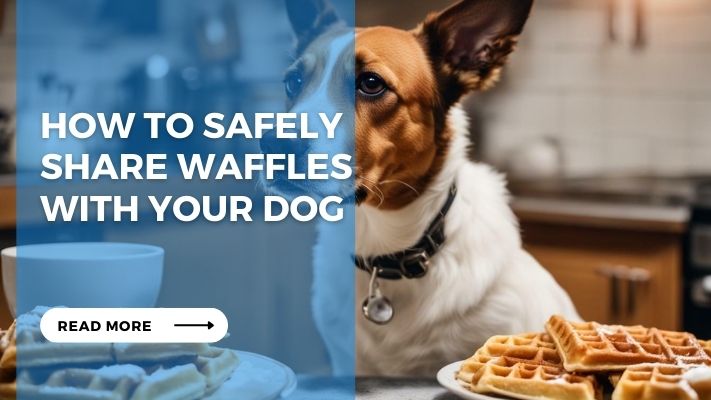 How to Safely Share Waffles with Your Dog