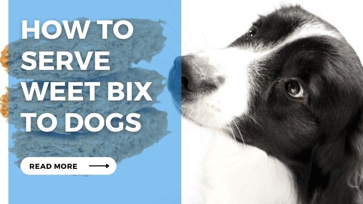 How to  Serve  Weet Bix  to Dogs