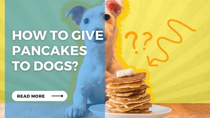 How to give pancakes  to dogs