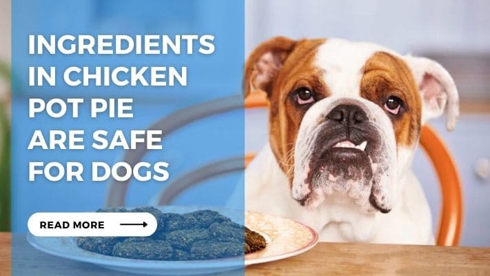 Ingredients in Chicken Pot Pie are Safe for Dogs