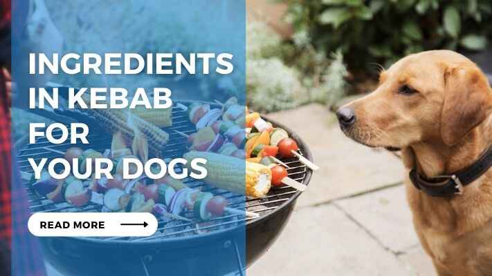 Ingredients in Kebab for Your Dogs
