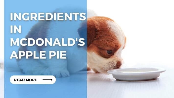 Ingredients in McDonalds Apple Pie