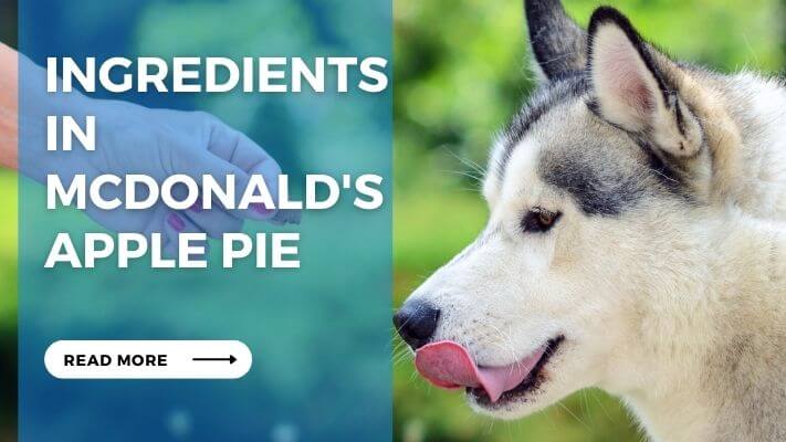 Ingredients in McDonald's Apple Pie