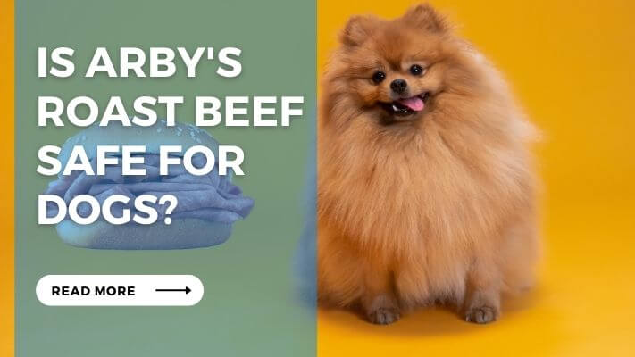 Is Arby's Roast Beef Safe for Dogs