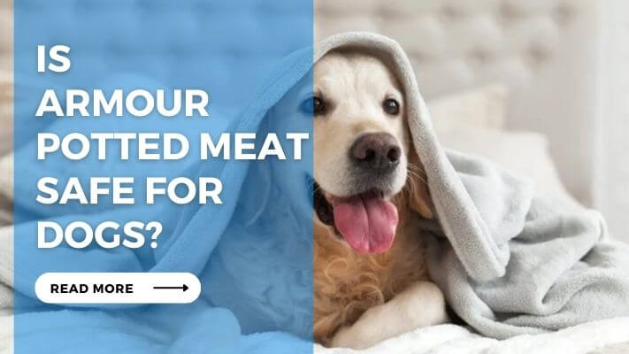 Is Armour Potted Meat Safe for Dogs