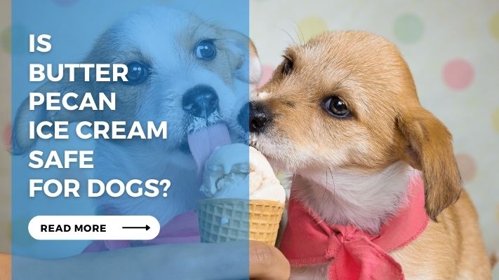 Is Butter Pecan Ice Cream Safe for Dogs?