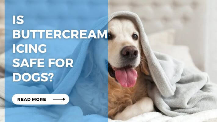 Is Buttercream Icing Safe for Dogs