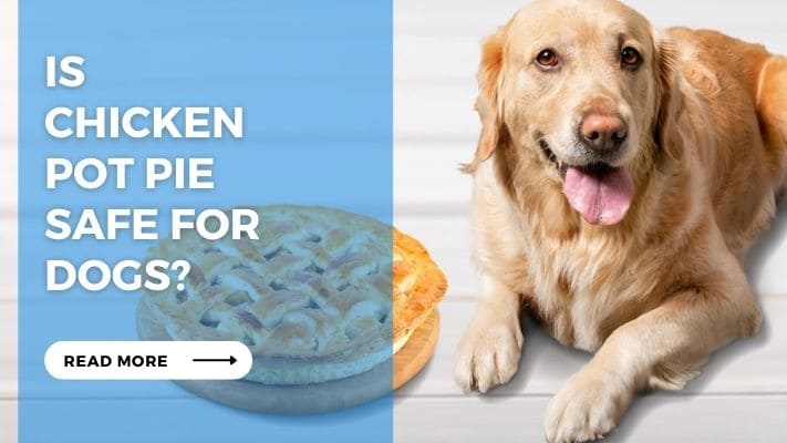 Is Chicken Pot Pie Safe for Dogs?