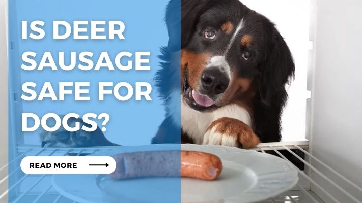 Is Deer  Sausage  Safe for  Dogs